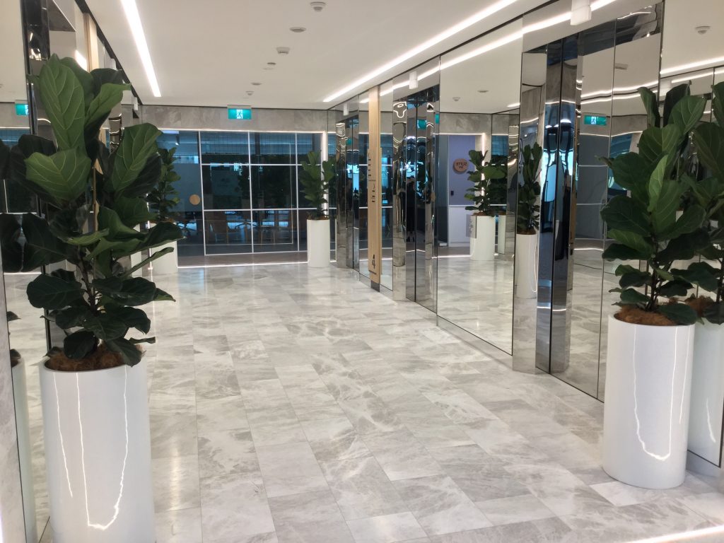 世界杯预选赛在2022卡塔尔世界杯亚洲积分榜线直播办公室植物雇佣阳光海岸cooroy新手a coolum maroochydore